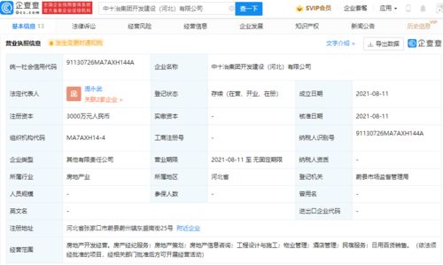 中國黃金集團關聯公司參股成立新公司，業務拓展至房地產開發與咨詢