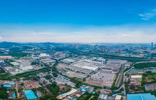 黃埔區(qū)2021年公辦小學招生地段劃分中的房產(chǎn)信息咨詢規(guī)定詳解